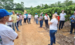Produtores rurais de Roraima visitam Rondônia para conhecer cafés robustas amazônicos