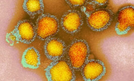 Mais três mortes por gripe são confirmadas em Rondônia