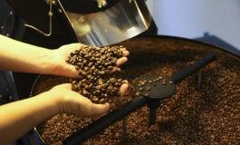Exportação dos Cafés do Brasil atinge 40 milhões de sacas em 12 meses