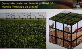 Especialista da Embrapa alerta produtores rurais sobre a importância do Manejo Integrado de Pragas
