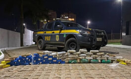 Motorista é preso com quase 60 kg de drogas dentro de sacos de milho em rodovia