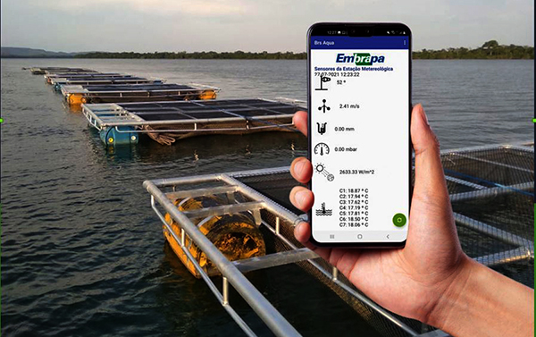 Tecnologia transmite dados da piscicultura para o celular do produtor em tempo real